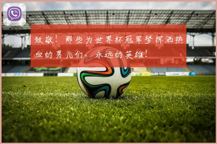 致敬！那些为世界杯冠军梦挥洒热血的男儿们，永远的英雄！