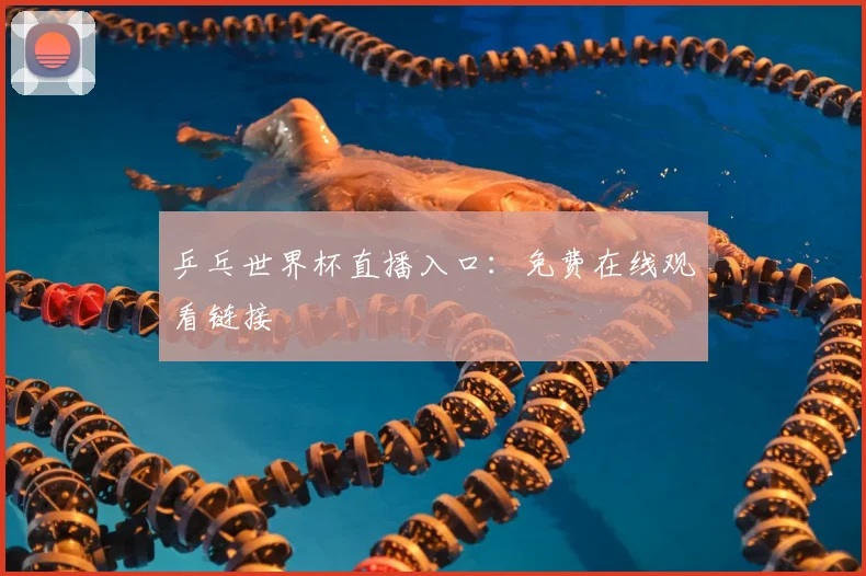 乒乓世界杯直播入口:免费在线观看链接